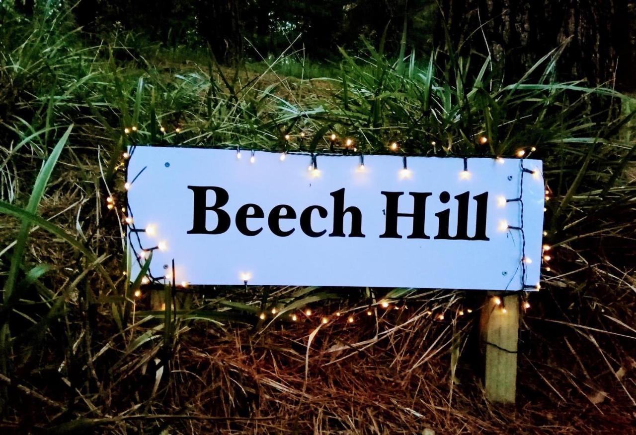 Beech Hill - Pet Friendly Holiday Home Tasman Exterior photo